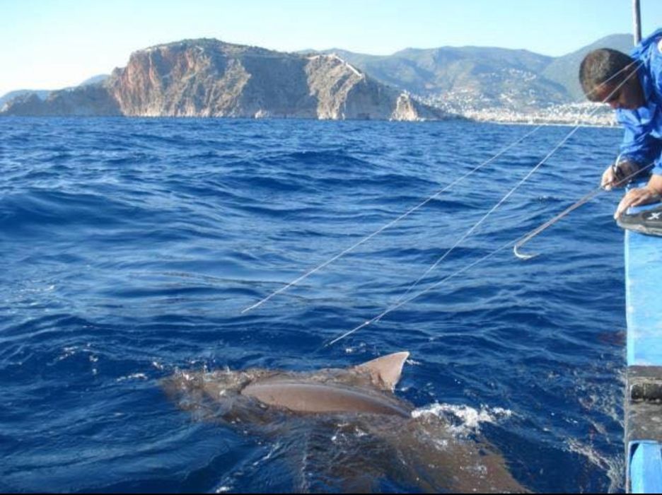 Здам квартиру в Туреччині, Середиземне море.