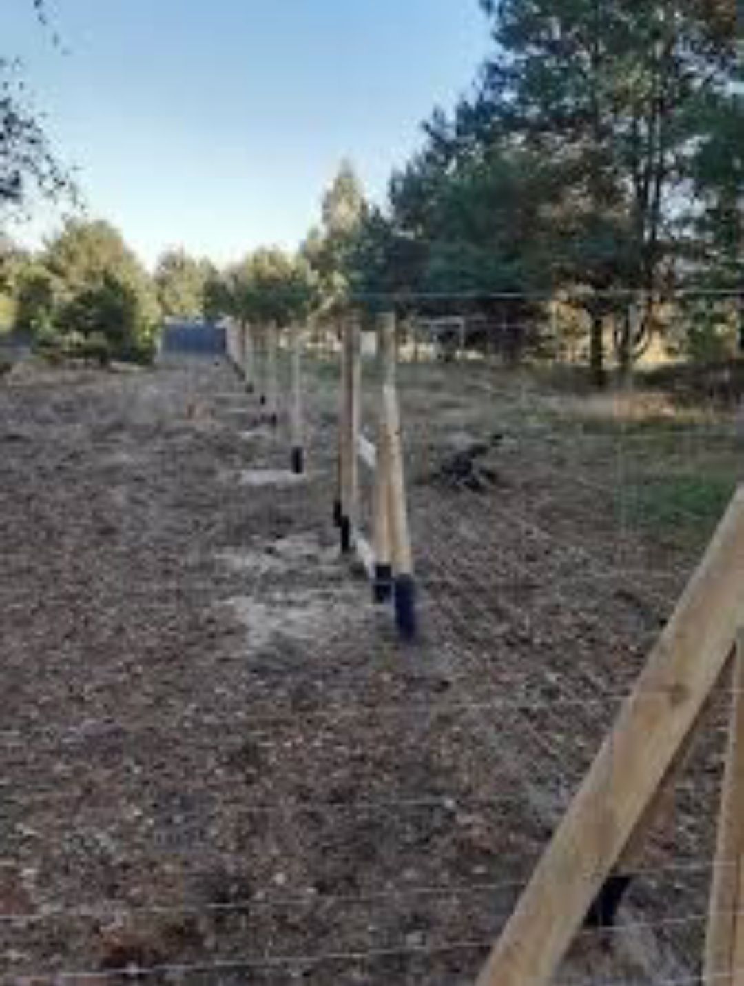Ogrodzenia tymczasowe z siatki lesnej stale z siatki plecionej panel3d