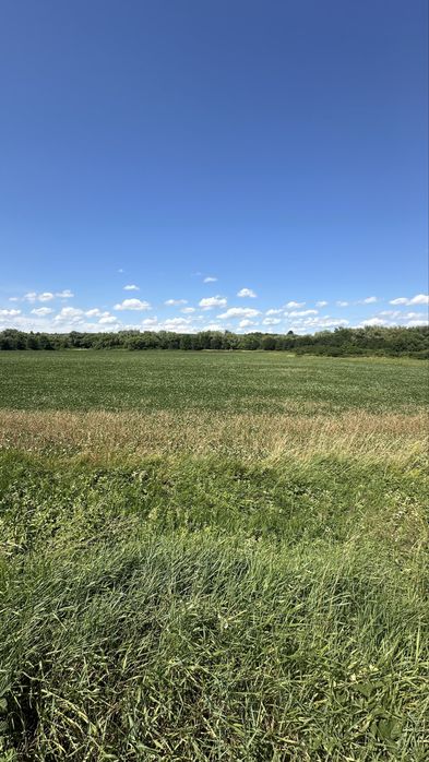 Ділянка; Продаж; Чернівці; В. Кучурів; під житлову забудову;