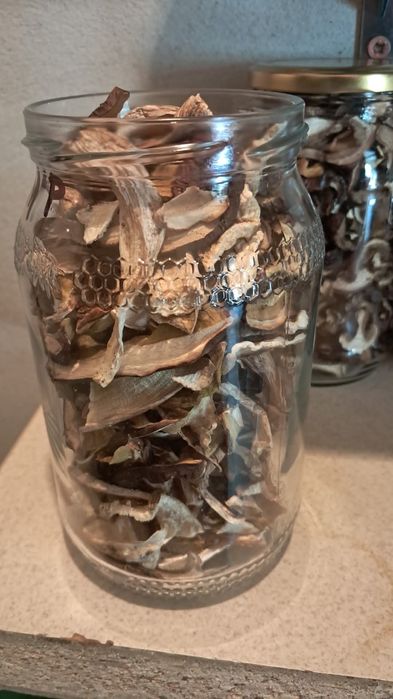 Grzyby suszone tegoroczne