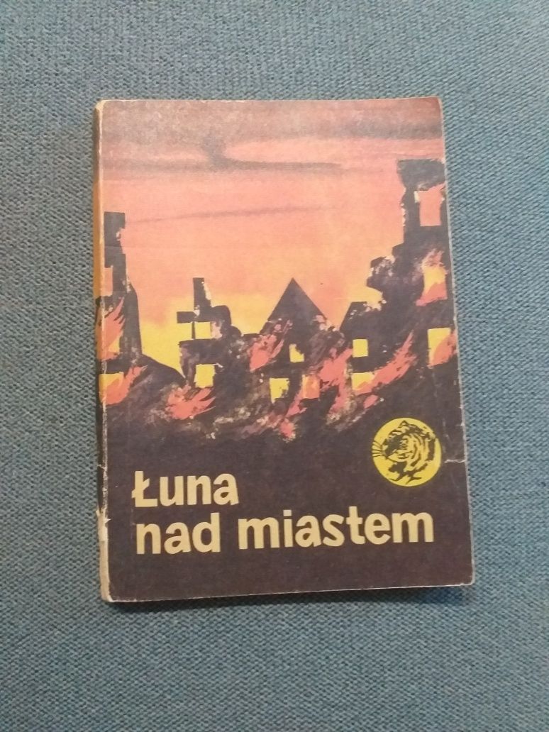 "Łuna nad miastem" Anna Wawrzycka