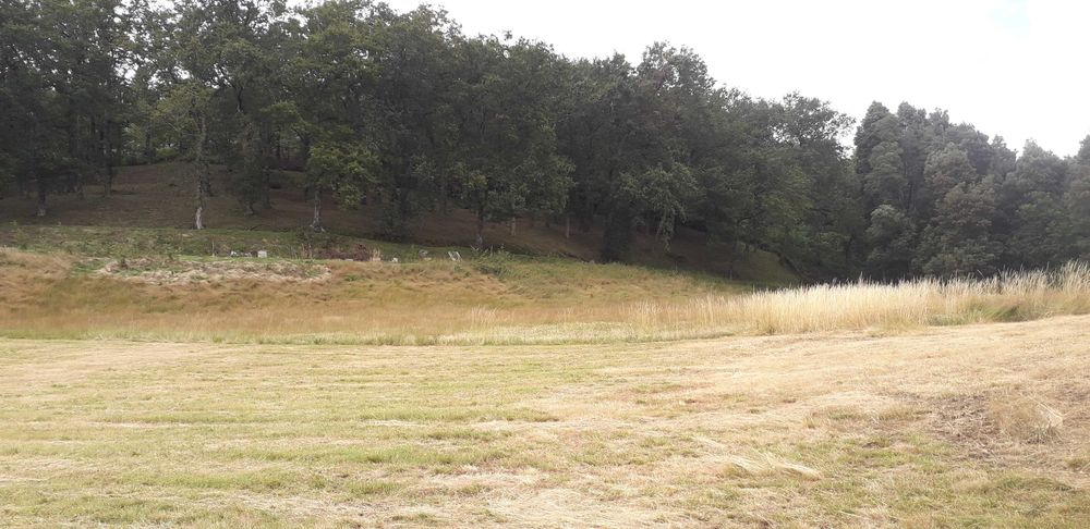 Propriedade com ca. 5 ha em Vieira do Minho