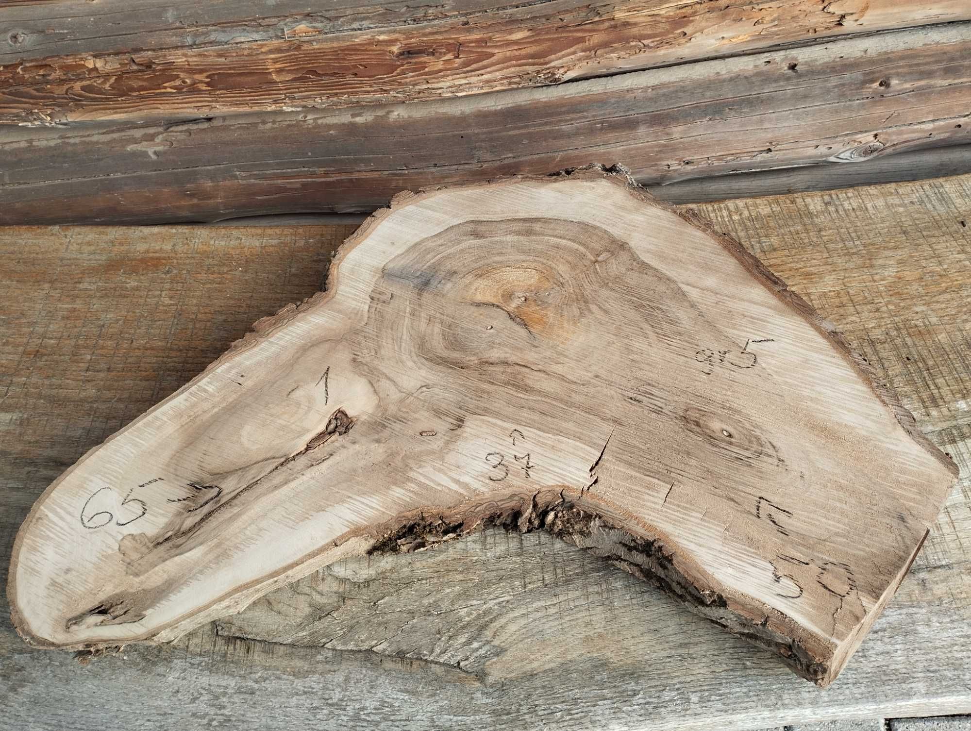 Plaster drewna duży Korzeń Piękny Solidny Orzech DIY Wybór sztuki HIT