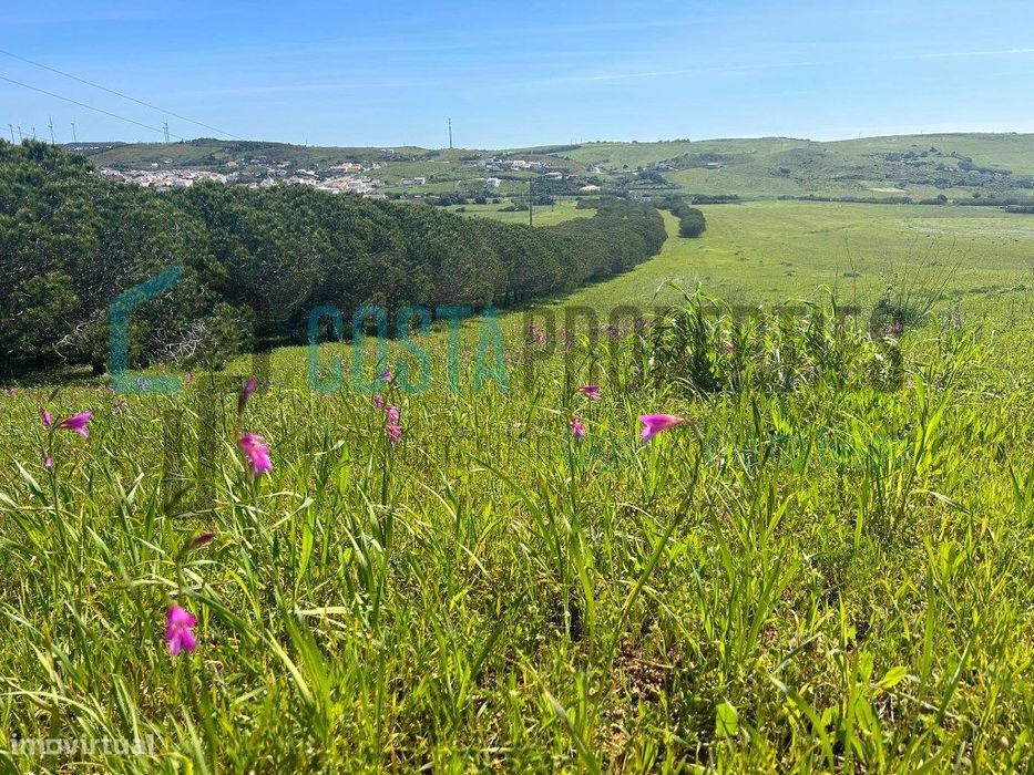 Terreno Rustico na Encantadora Aldeia Raposeira