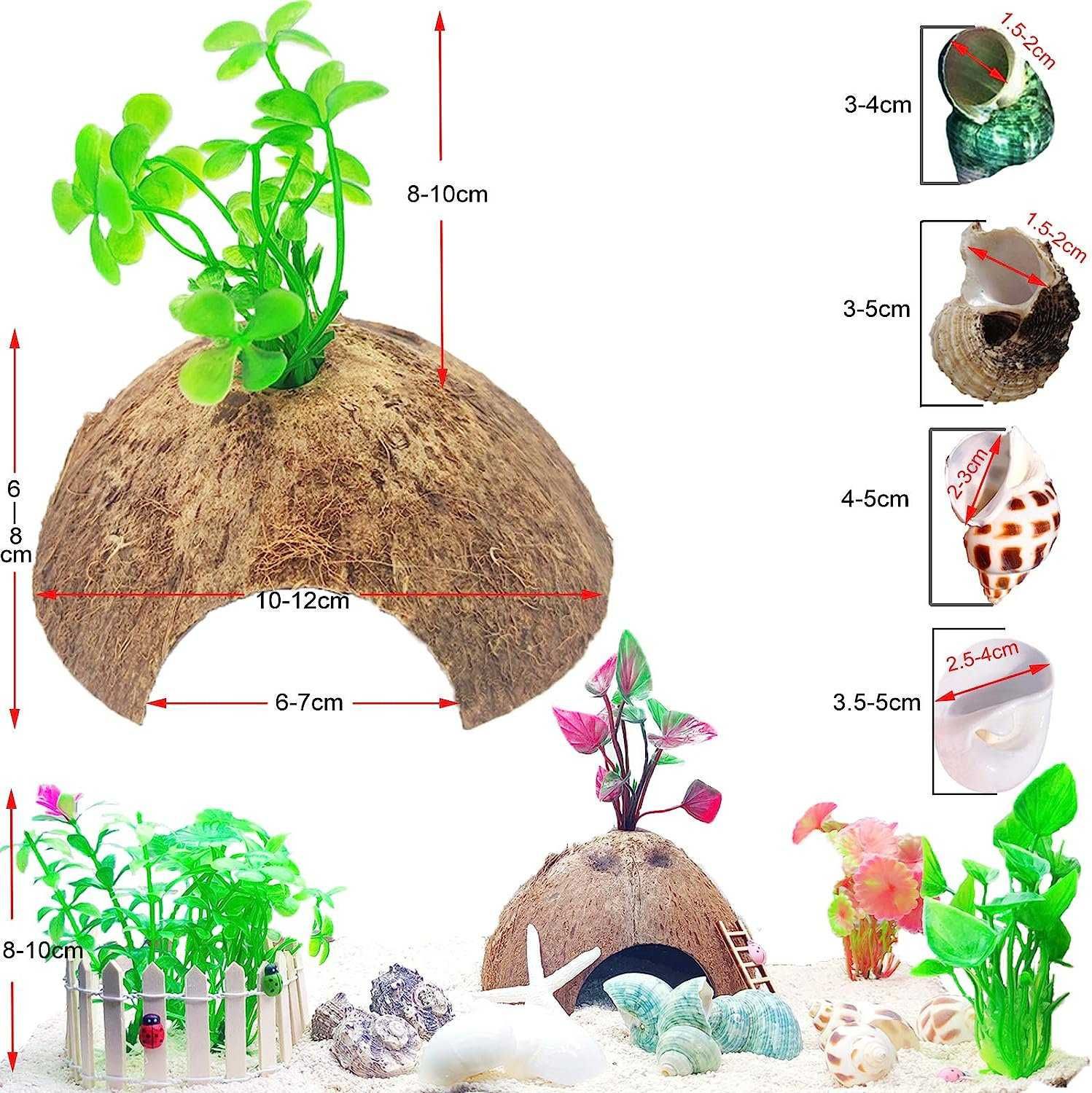Kokos połówka, kryjówka do terrarium lub akwarium + 6 roślin, muszelki