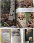 National Geographic Magazine Volume CVII. Num. 5, May, 1955