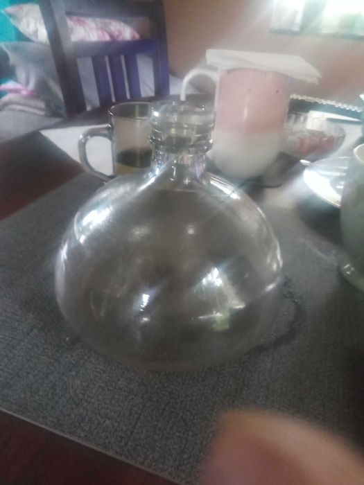 Antyczna muchołapka 19 wieku