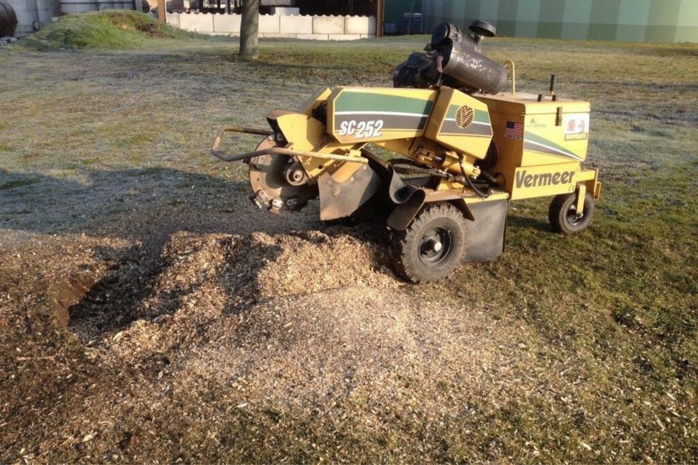 YANMAR SV 22 minikoparka wynajem wykop sam