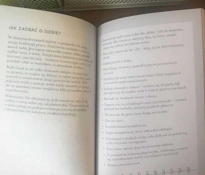 Twój rok z bullet bookiem