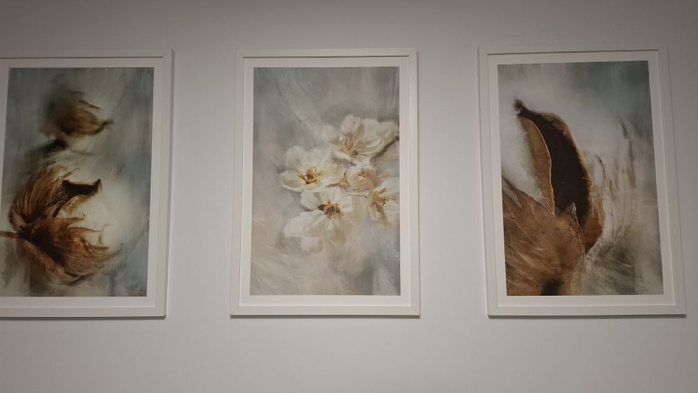 3 częściowy zestaw obrazow