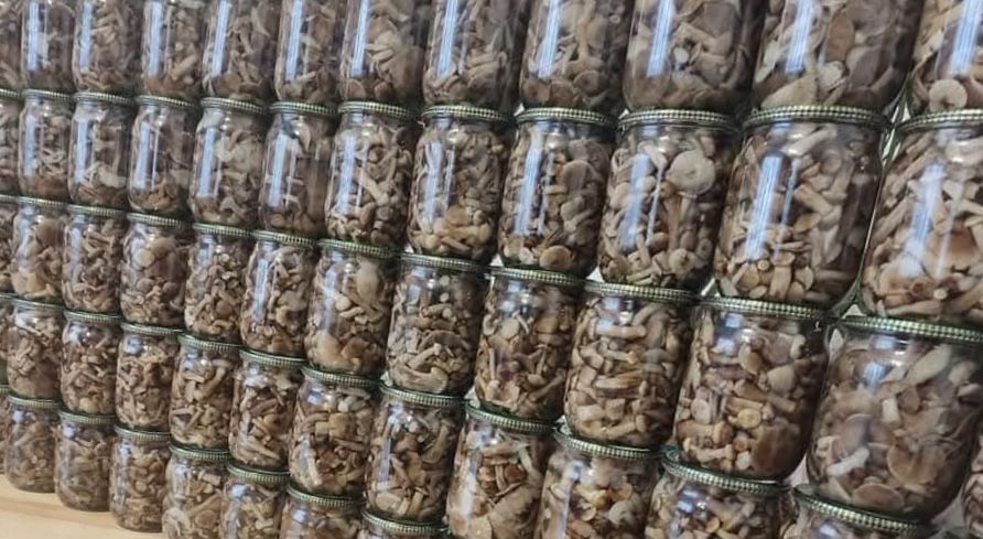 Мариновані грибочки, великий асортимент, смачний маринад