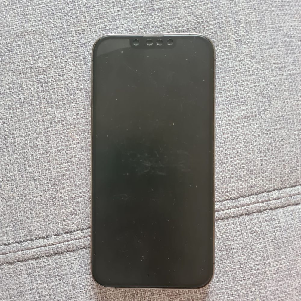 Iphone 13 pro bem estimado