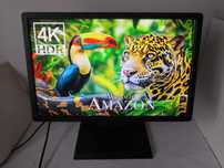 monitor Dell Professional P2213t 22 cale regulowany
