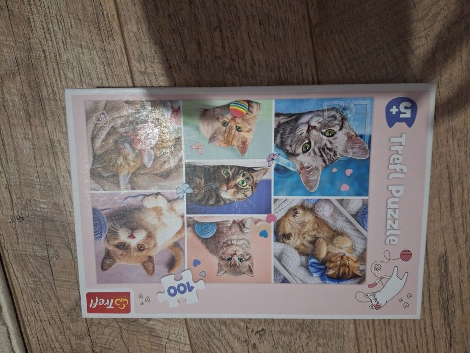 Puzzle koty 5+ nowe