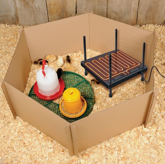 Briidea Płyta grzewcza dla piskląt , 30 x 30 cm