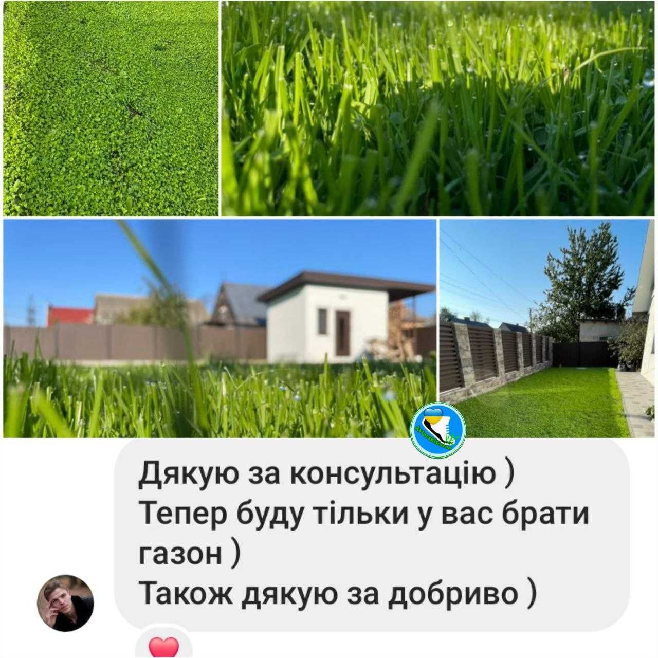 Газон трава Газонний комплекс/ микро клевер Конюшина Піполіна Рівендел