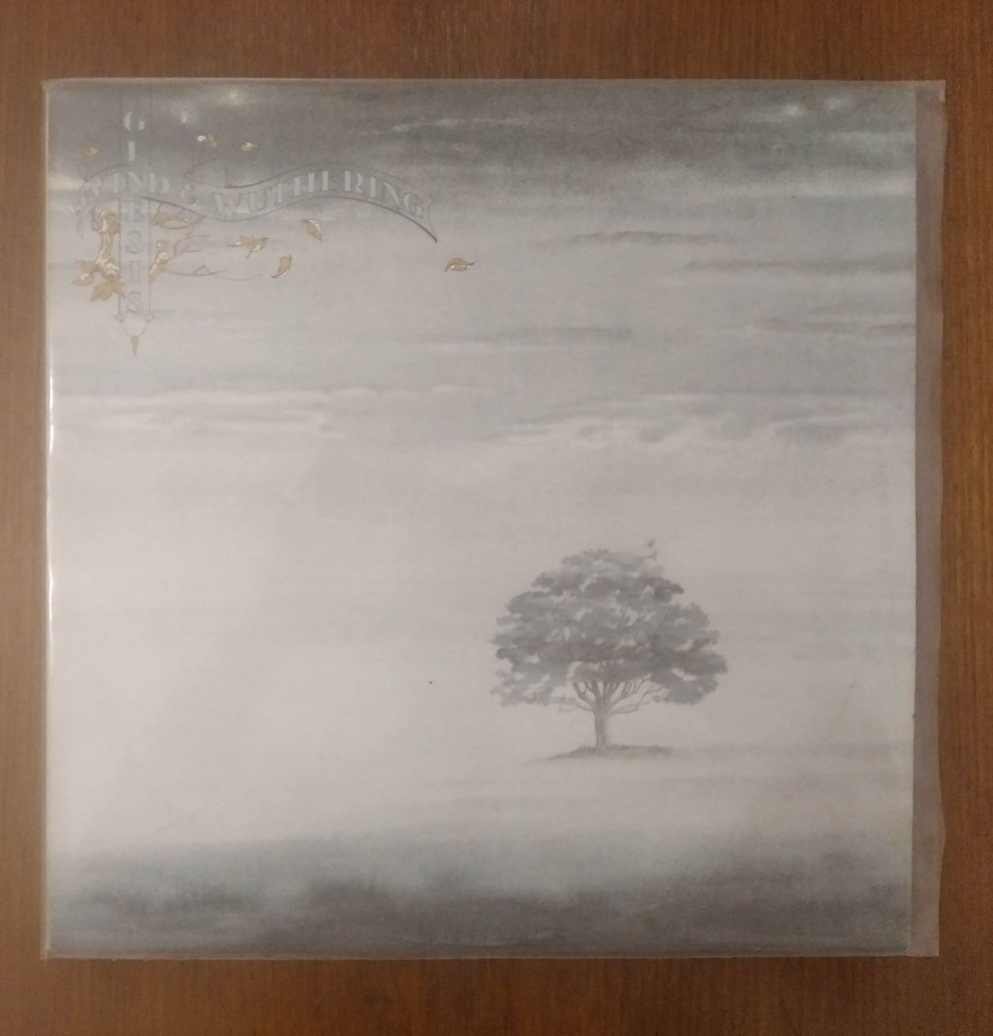 Genesis disco de vinil "Wind & Wuthering".