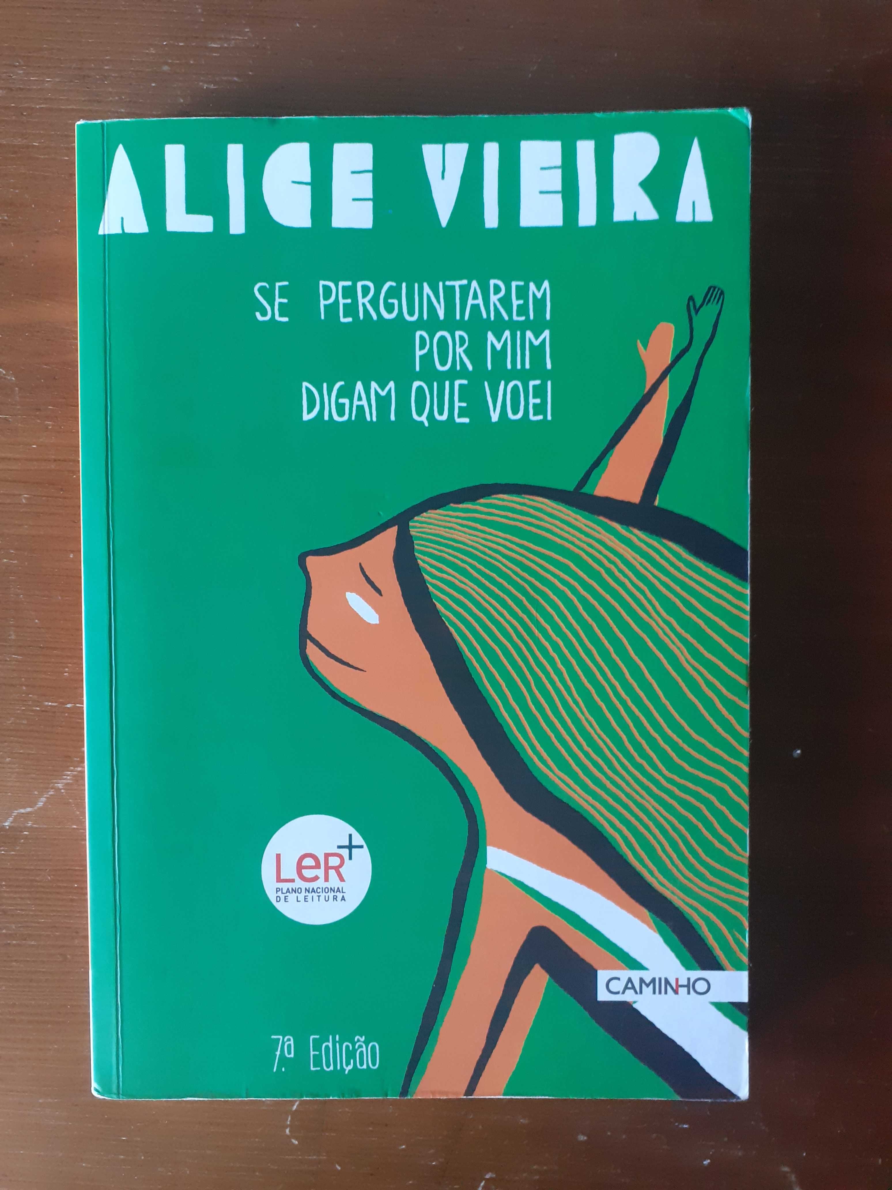 Livro - Se Perguntarem por Mim Digam que Voei