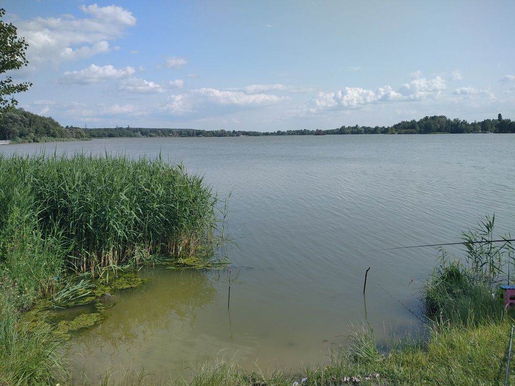 Бортничи. Центр. Продам ухоженный дом.