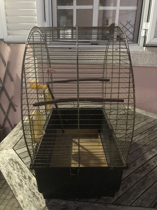 Gaiola para canários