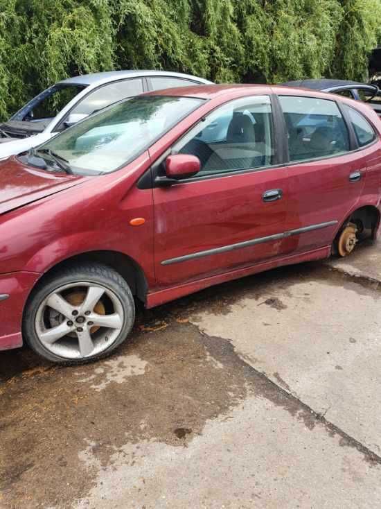 Nissan Almera Tino kolor wiśniowy metalik przeznaczony na części