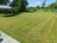 Ogródek działkowy - DUŻY - 580m2 - ROD Wiosna - siana trawa, bez nasad