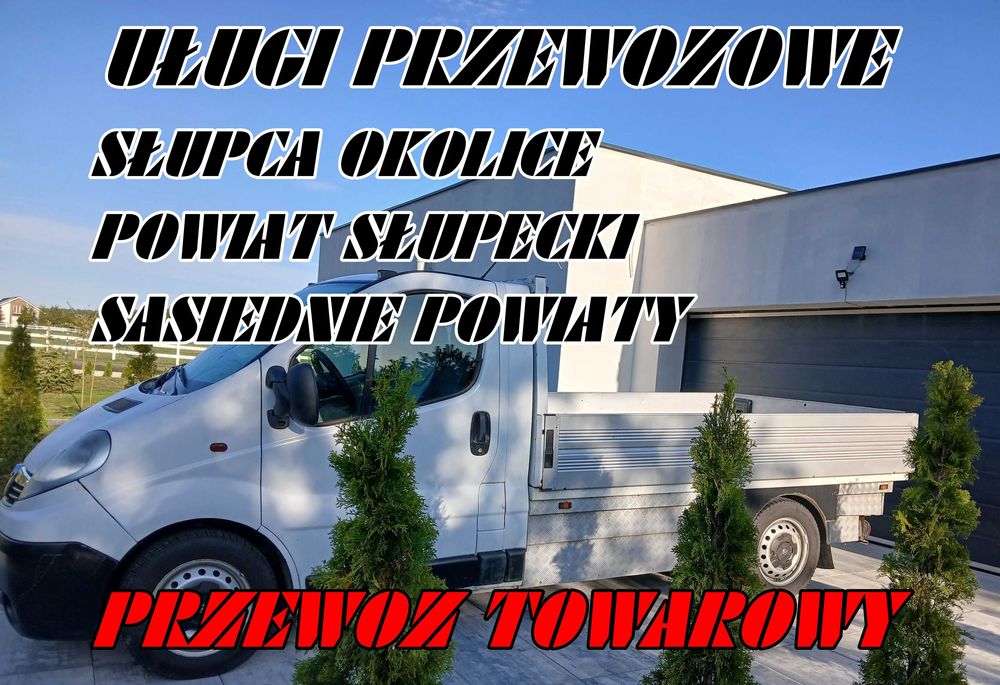 Przewozy Towarowe i Osobowe
