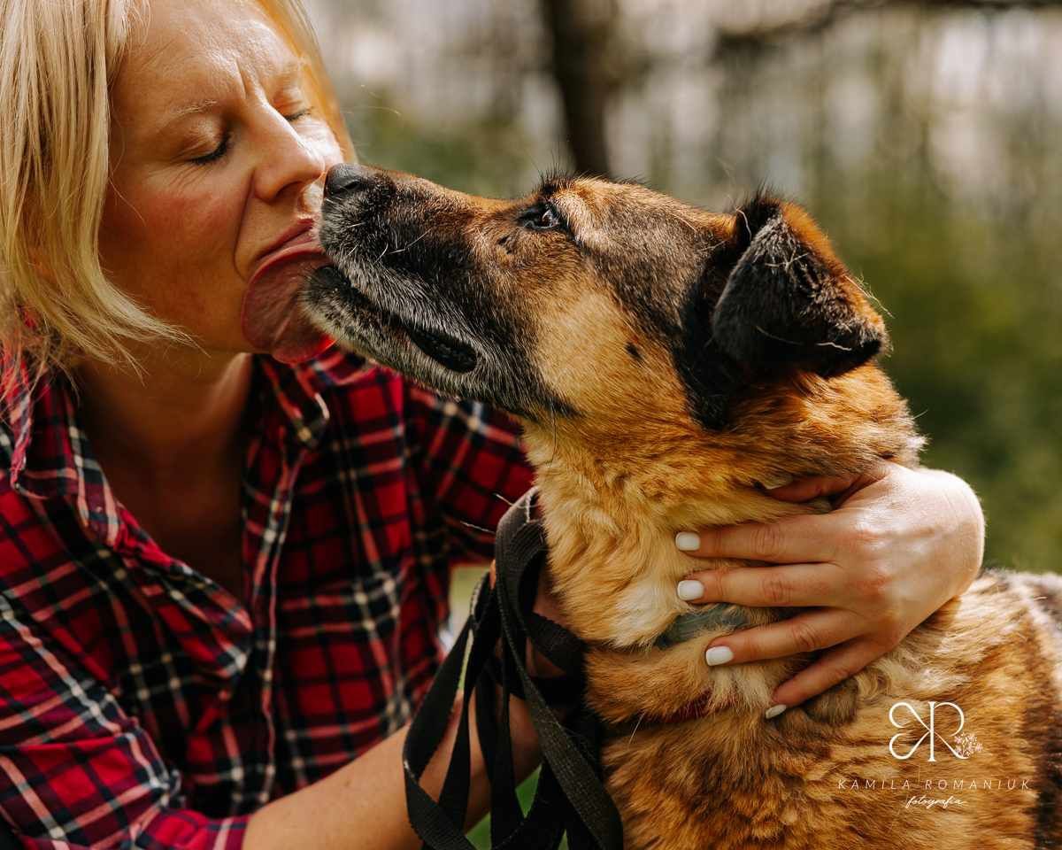 Mądry Logan do adopcji!