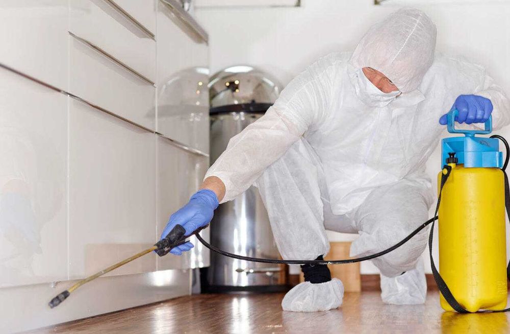 Професійне знищення тарганів, клопів, бліх, гризунів і т.д.
