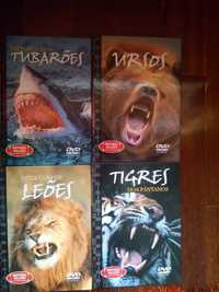 DVDs/Livros - Vida Selvagem 'Animais'