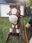 Konik na biegunach