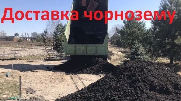 Чернозем шикарный, рассыпчатый, чёрный высокогумуснный. Перегной.