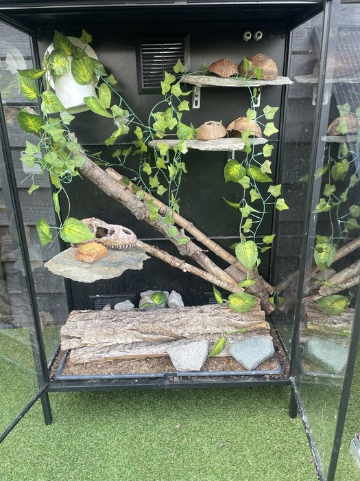 Terrarium z pełnym profesjonalnym wyposażeniem – gotowe do użycia