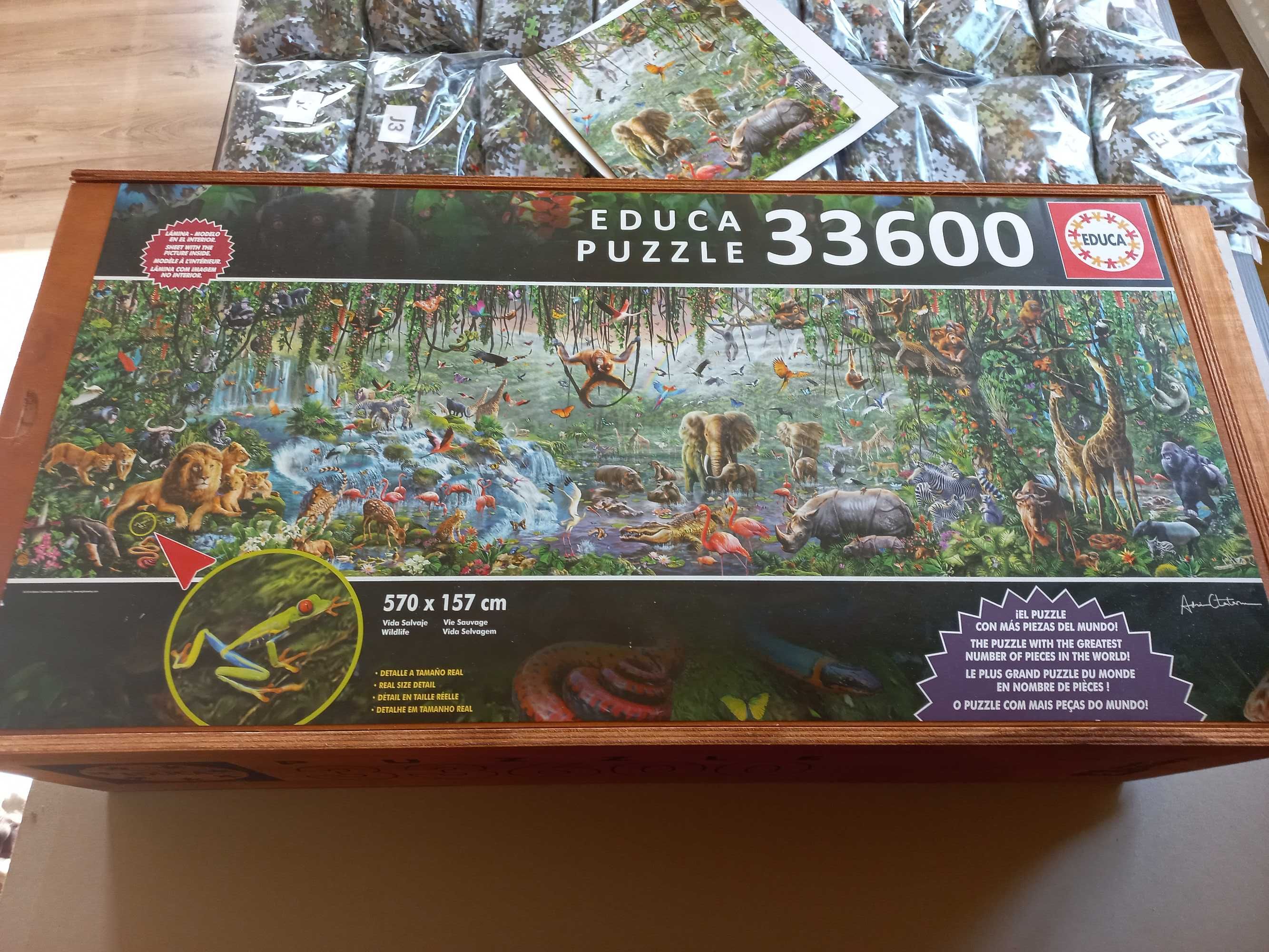 Puzzle Educa 33600 Wild life