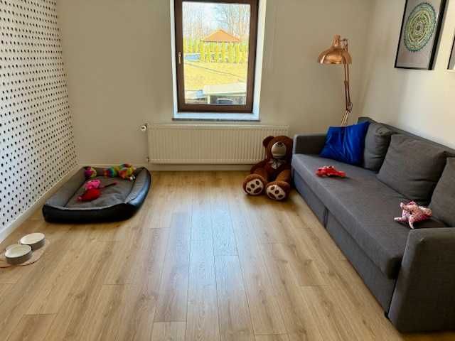 Hotel dla psów Wałbrzych Psiotel opieka 24/7