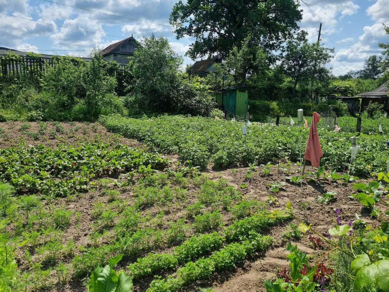 Продам дачу на ст.Подусівка.
