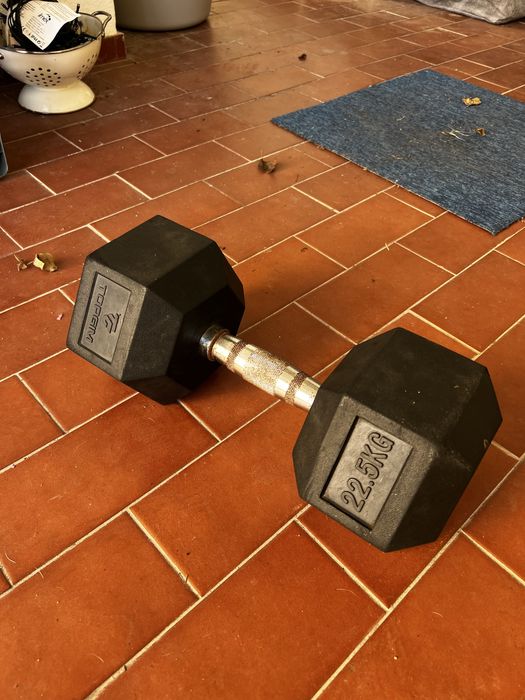 Haltere 22,5 kg