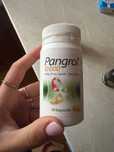 Enzymy trawienne Pangrol