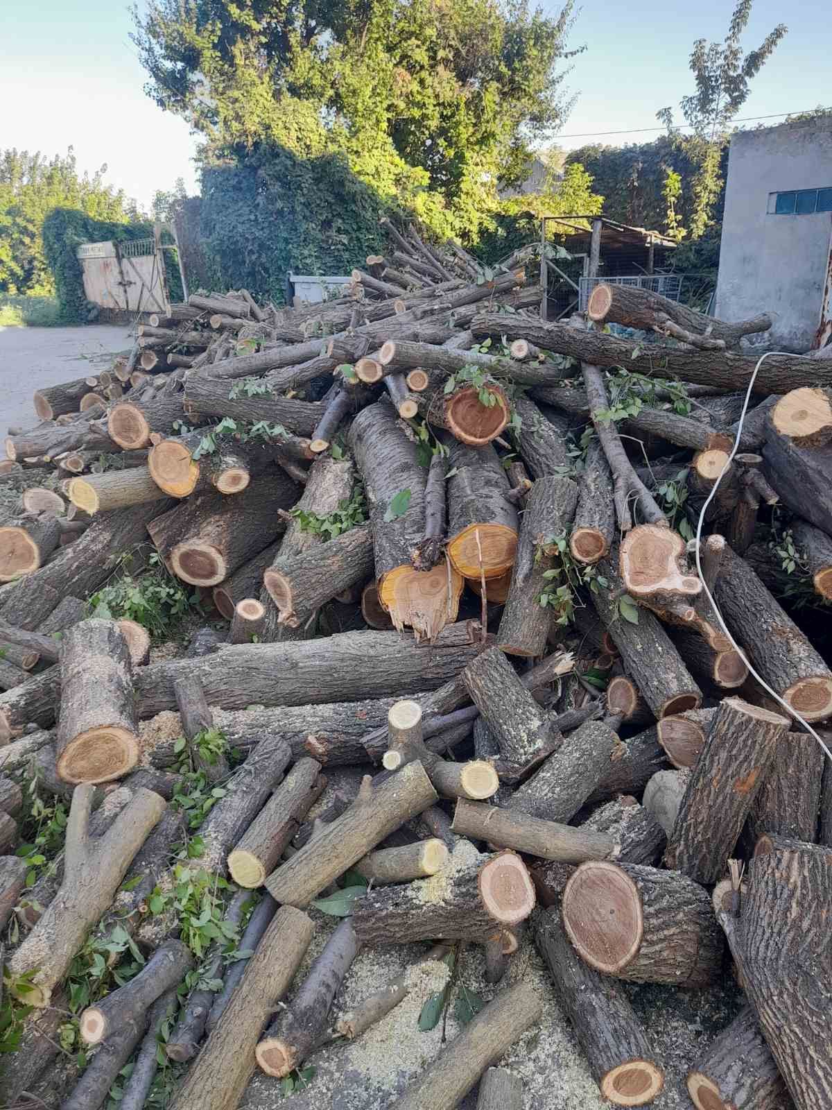 Продам дрова разных пород