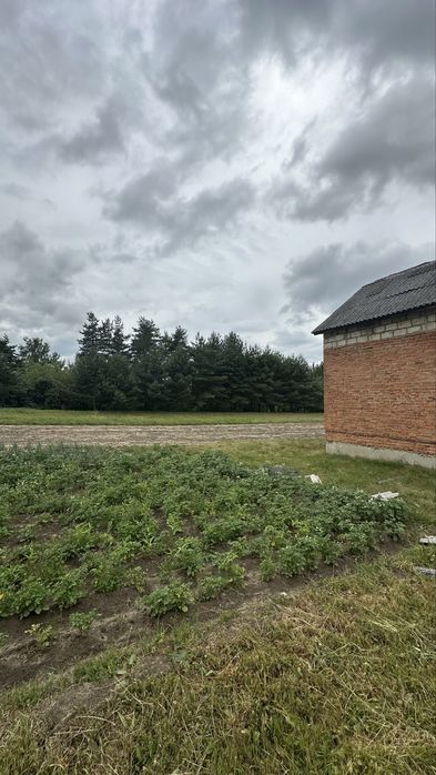 Продаж земельних ділянок  в с.Хоросно  (під будівниктво та с/г)