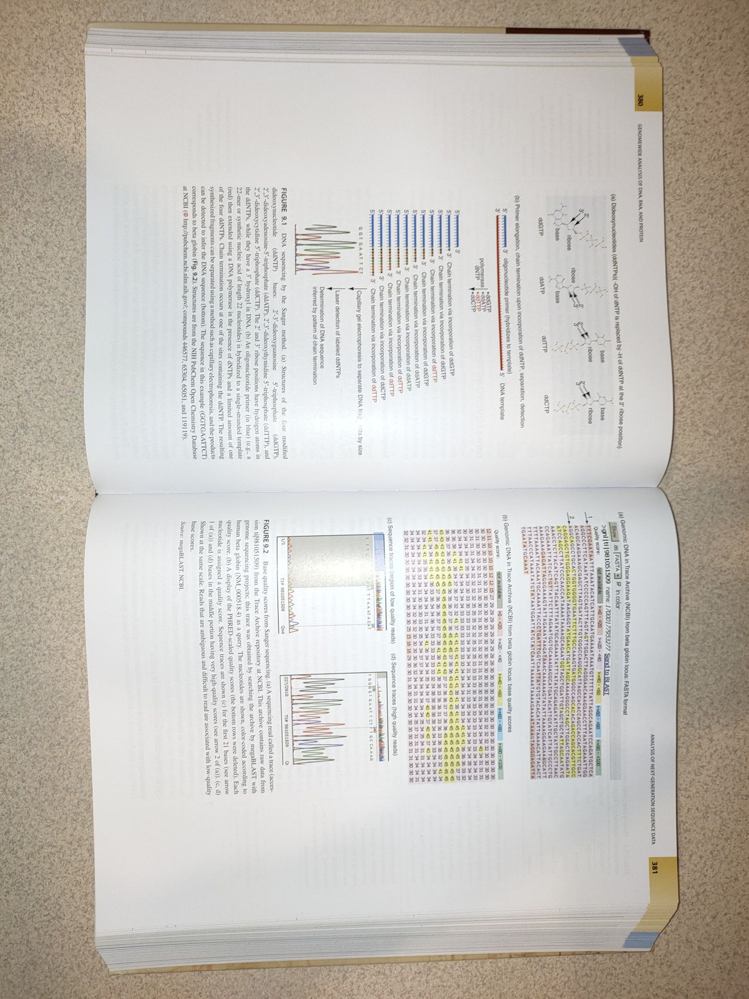 Bioinformatics and functional genomics