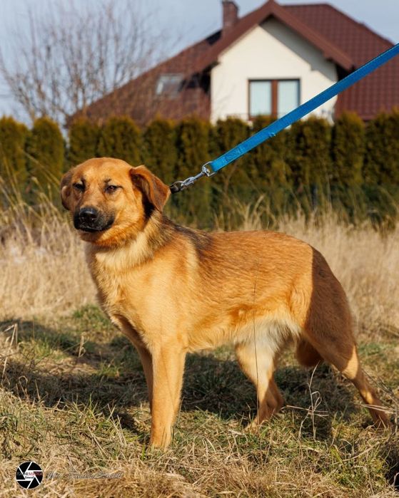 Pepsi szuka swojego Człowieka