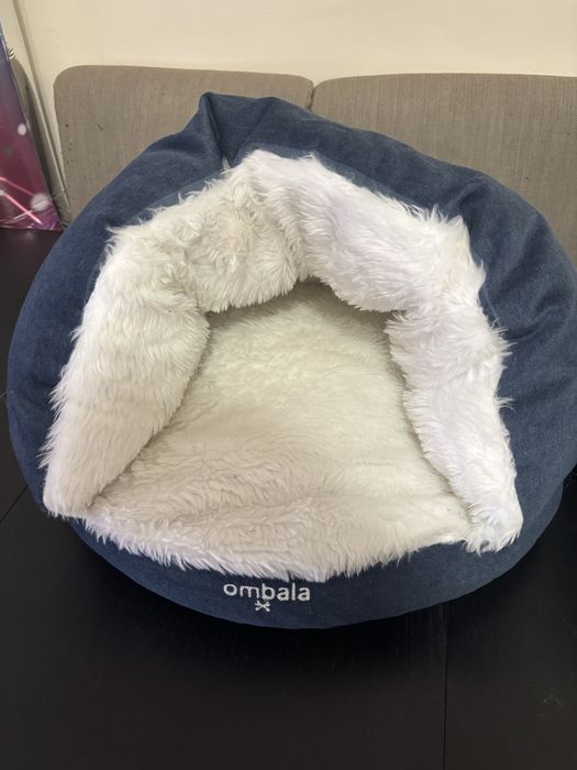 Conjunto casa acolchoada para gatos