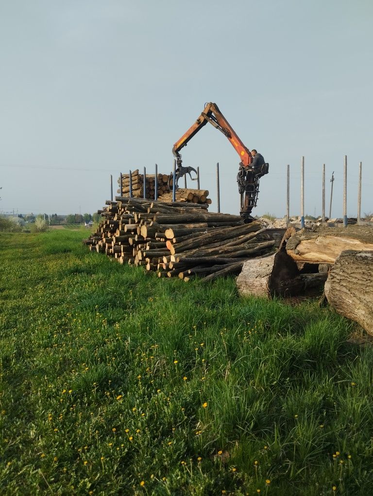 Drewno opałowe kominkowe transport