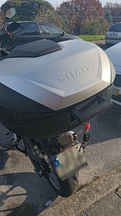 Mala Shad SH59X Usada