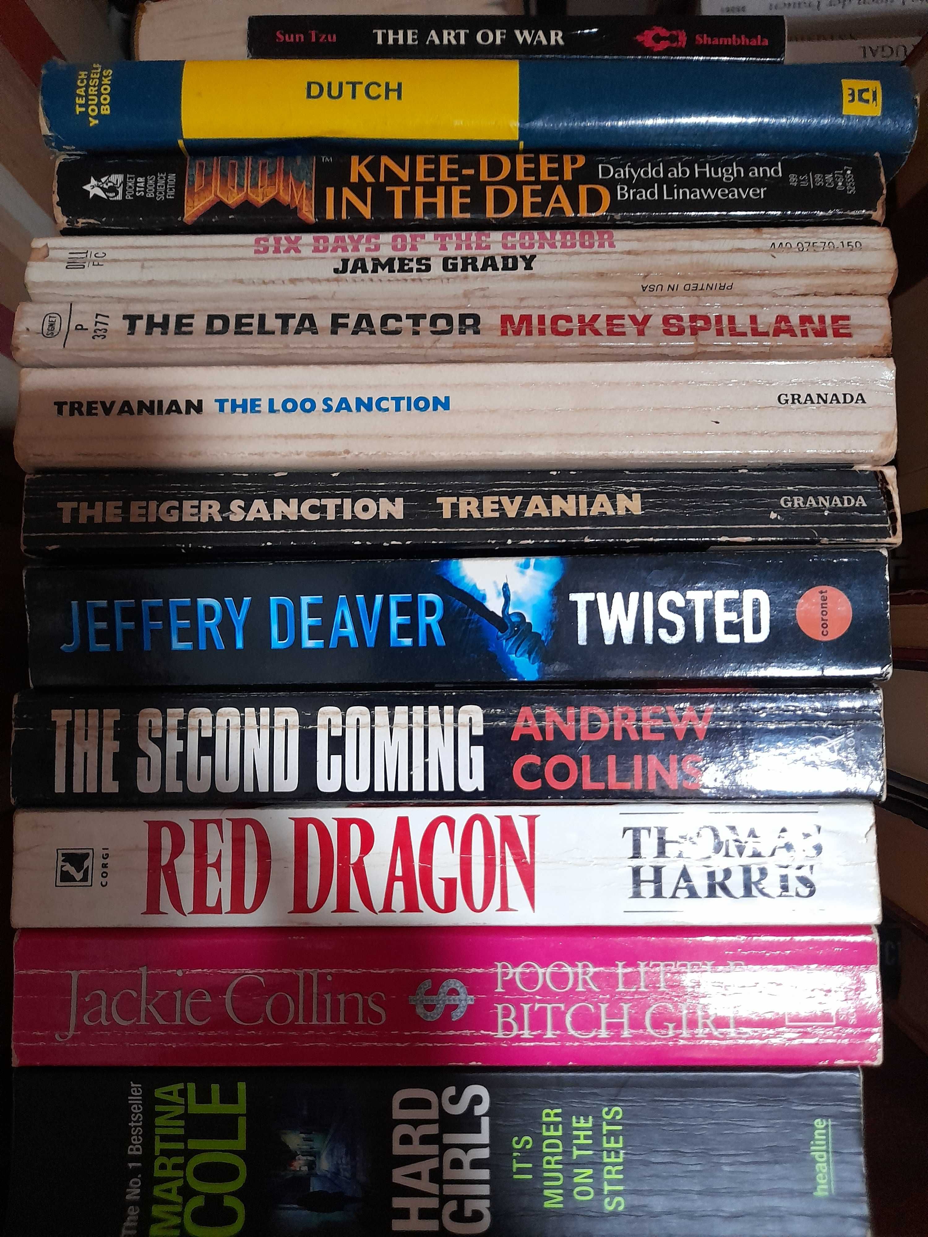 Lote 25 livros inglês literatura