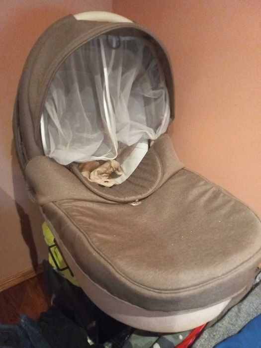 Коляска дитяча Адамекс