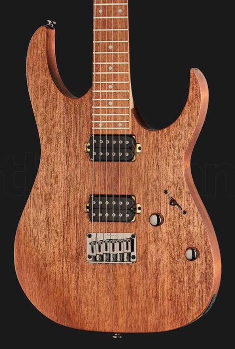 Нова електрогітара Ibanez RG421-MOL