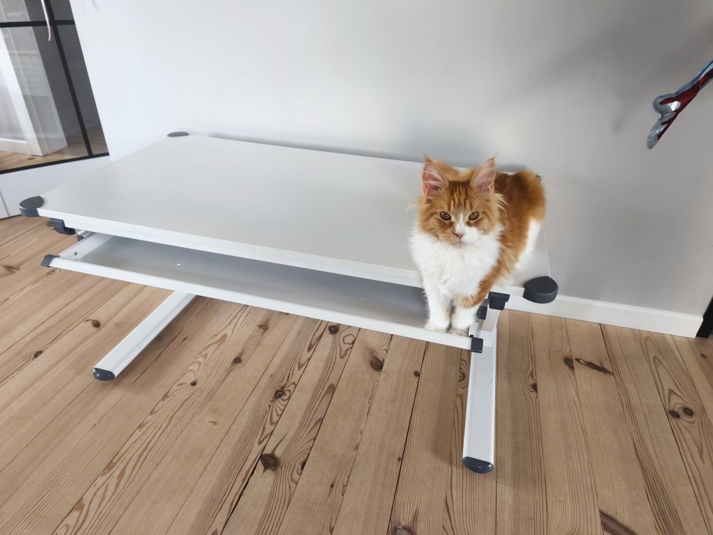 Biurko ergonomiczne ragulowane lidl Livarno home