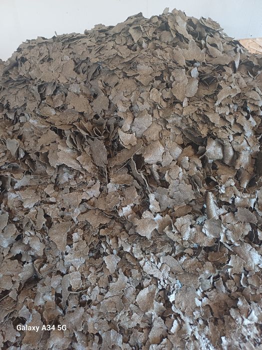 Макуха соняшникова!!!